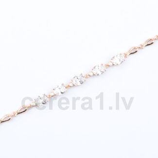 Aproce APZ219